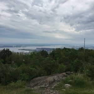 Meet your Posher, Ella